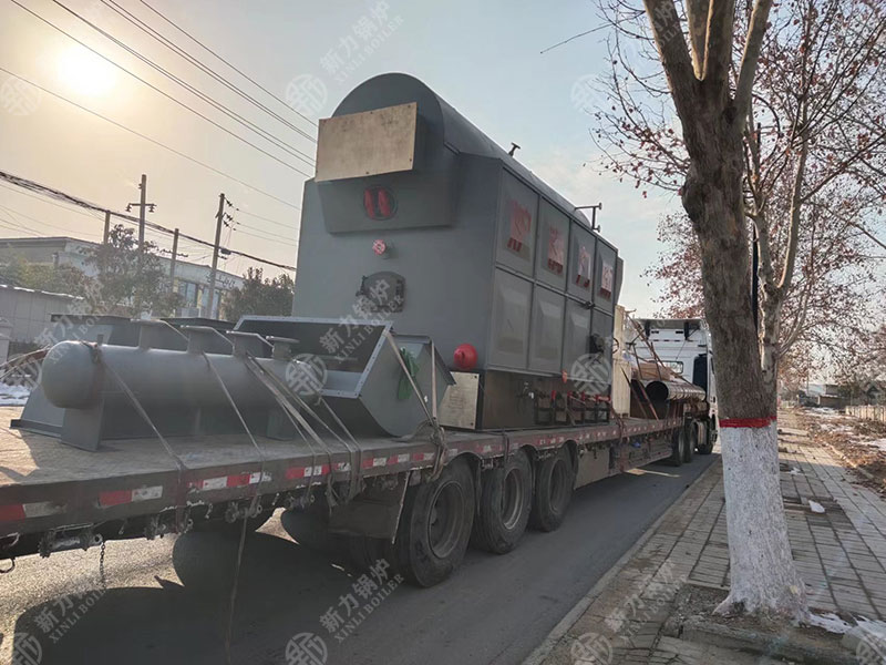 710公海DZL生物质热水锅炉：的绿色供暖新规划