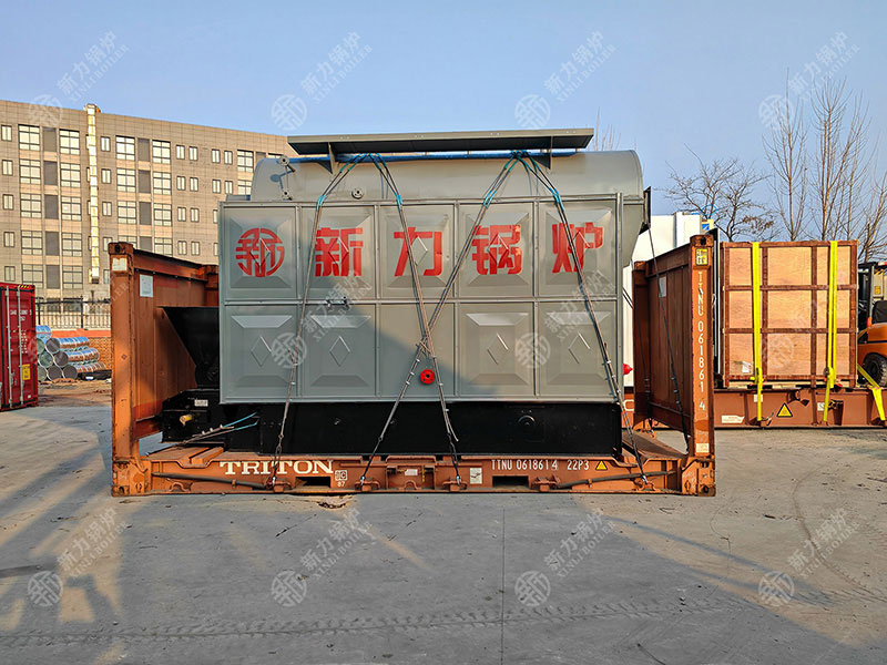 什么是DZL生物质锅炉？一篇文章读懂其分类与职能